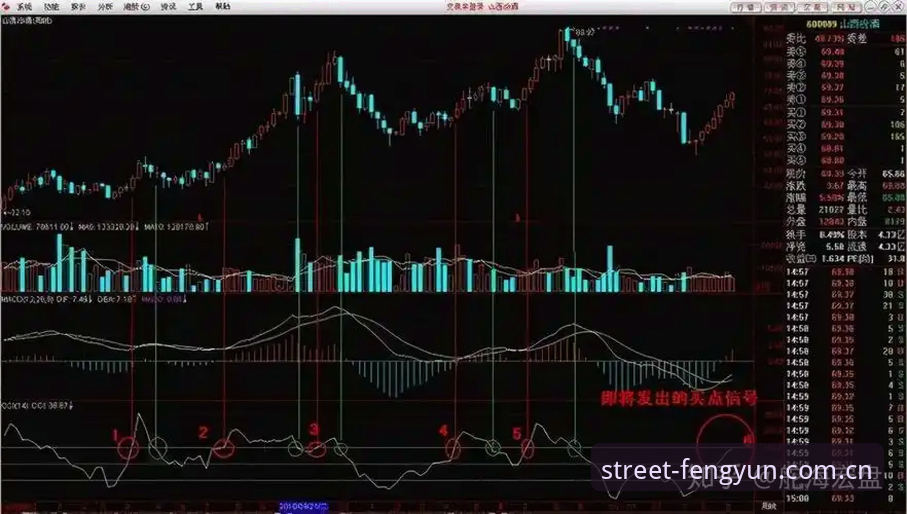 为什么说风云体育APP数据替代站教程值得细读？从一场街巷球赛说起